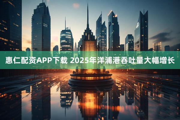 惠仁配资APP下载 2025年洋浦港吞吐量大幅增长
