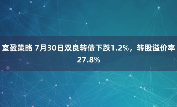 室盈策略 7月30日双良转债下跌1.2%，转股溢价率27.8%